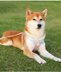 Adjustable Dog Harness for Small Dogs Cat Reflective Dog Harness and Leash Set Breathable Pet Harness Puppy Vest Dog Accessories