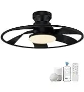 52 "Smart Low Profile ceiling Fans with Lights Remote,Quiet DC Motor,Outdoor Indoor Flush Mount Fan,Control WIFIAle
