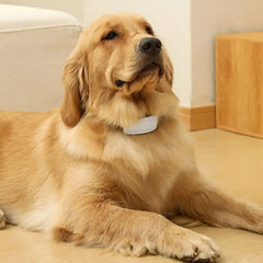 Bark Collar For Large Dog Anti Barking Training Collar IP67 Waterproof Rechargeable Anti Bark Collars With 7 Adjustable