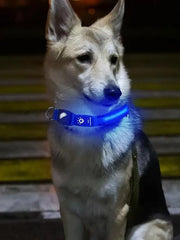 Luminous Cat Necklace Glowing Dog Cat Collar Anti-Loss Fluorescent Cat Collar Neck Pet Accessories Walking Night Safety Supplies