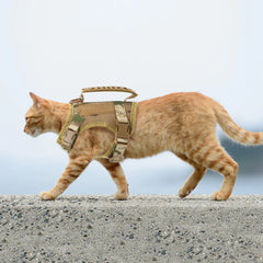Tactical Cat Harness Leash Adjustable Puppy Vest For Military Small Dogs Harnesses 9Pcs Patches Walking Training Cat Accessories