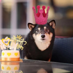 Pet Hat Dog Birthday Crown Cat Birthday Party Dress Up Crown Hat Dog Pumpkin Hat Sequin Headwear Cap Hat Festival Pet Supplies