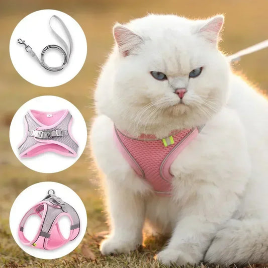 Vest Walking Traction Rope Cat Harness with Reflective Strip Dog Collar Breathable Mesh Harness for Small Medium Pet Cat Dog