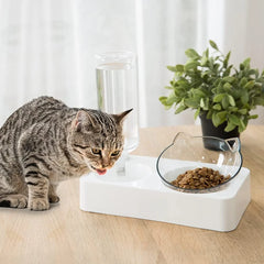 Tilted cat bowl set for food and water, high-footed bowl for puppies