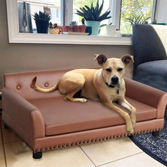 Heavy Duty Pet Sofa Large Raised Dog Bed Cushioned Sofa Softly Pet Cat Bed Puppy Sofa Couch Lounge Bed