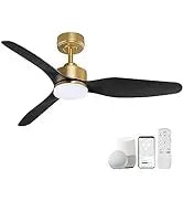 52 "Smart Low Profile ceiling Fans with Lights Remote,Quiet DC Motor,Outdoor Indoor Flush Mount Fan,Control WIFIAle