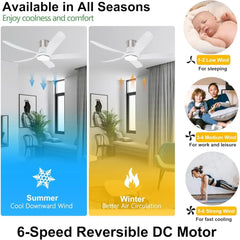 58" Low Profile Ceiling Fan with Light - Remote Control Flush Mount Indoor Outdoor Ceiling Fan, Reversible DC Motor, Dimmable