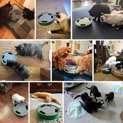 Interactive Cat Toy Running Mouse Automatic Teaser Indoor Play Hide Seek Engaging Exercise Cats Automatic Motion Pet Toy
