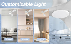 52 "Smart Low Profile ceiling Fans with Lights Remote,Quiet DC Motor,Outdoor Indoor Flush Mount Fan,Control WIFIAle