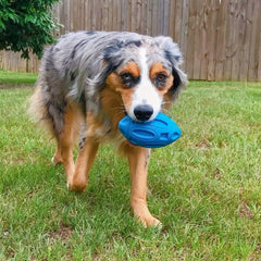 Engaging and essential durable premium dog chew toy for tough chewers - exciting, high-quality must-have option for mental stimu