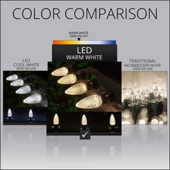 String Lights Warm White LED Commercial Outdoor Christmas Lights Christmas String Lights; Green Wire (100 Lights, 100 ft)
