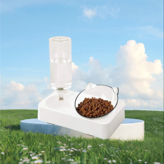 Tilted cat bowl set for food and water, high-footed bowl for puppies
