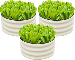 3 Pcs 2x2x1ft Round Galvanized Raised Garden Bed Kit Outdoor, Metal Planter Box for Planting Plants Vegetables, White