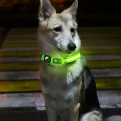 Luminous Cat Necklace Glowing Dog Cat Collar Anti-Loss Fluorescent Cat Collar Neck Pet Accessories Walking Night Safety Supplies