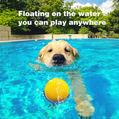 Tough and Durable Large Dog Balls - Set of 2 Indestructible Tennis Balls for Aggressive Chewers, Interactive Water Toy Ball for