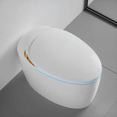 12“ One Piece Elongated Smart Toilet with Egg-Shaped,Foot Sensor,Night Light,Auto Flush Open & Close Seat,Build-in Bidet Seat,