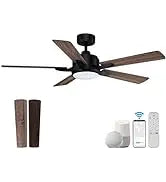 52 "Smart Low Profile ceiling Fans with Lights Remote,Quiet DC Motor,Outdoor Indoor Flush Mount Fan,Control WIFIAle