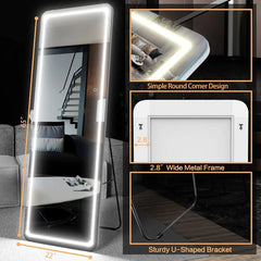 65"x22" Full Length Floor Mirror LED Whole Body Mirror, Wall Mounted Hanging Mirror with Lights, Makeup Vanity Mirror, Bedroom