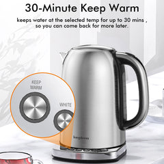 Temp Control Electric Tea Kettle, 1.7L Stainless Steel Water Boiler & Heater, Fast Boiling 1500 Watts, Cordless Kettle, Silver