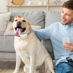 Bark Collar For Large Dog Anti Barking Training Collar IP67 Waterproof Rechargeable Anti Bark Collars With 7 Adjustable