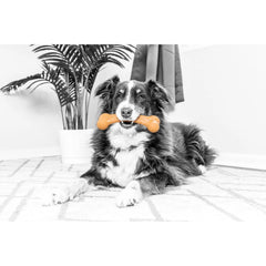 Natural Instincts BBQ Nylon Bone Dog Chew Toy Tough Chewers Engaging Interactive Bone Shape Keeps Dogs Occupied