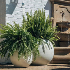 16" D Ceramic Indoor Outdoor Round Sphere Planter, Satin Ivory, Home Décor Evergreen Weather Resistant Modern Planter Pot