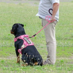 Heavy Duty Tactical Dog Harness for Large Dogs, No Pull Adjustable Pet Harness Reflective Service Training Easy Control