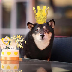 Pet Hat Dog Birthday Crown Cat Birthday Party Dress Up Crown Hat Dog Pumpkin Hat Sequin Headwear Cap Hat Festival Pet Supplies