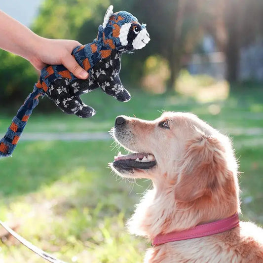 Chew Toys For Puppy Tough Squeaky Teeth Toys For Pet Puppy Interactive Stuffed Dog Chew Toys For Small Medium Large Dogs