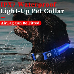 Luminous Cat Necklace Glowing Dog Cat Collar Anti-Loss Fluorescent Cat Collar Neck Pet Accessories Walking Night Safety Supplies
