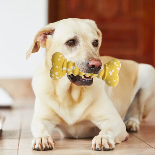 Dog Rubber Bone Chew Toys Funny Bite-resistant Bone-shaped Balls Dog Fetch Toy Interactive Fetch Throw Toys In Vibrant Colors