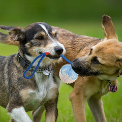 Dog Ball With Rope Bite Resistant Interactive Pet Ball Dog Ball With Rope Training Chew Toy Tug Ball Launchers For Aggressive