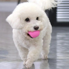 Egg Ball Dog Toy Soft Latex Rubber Animal Interactive Fetch Ball Cute Egg Doll Shape Four-color Squeaky Egg Dog Ball For Small