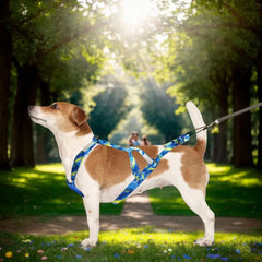 Dog Running Harness Sport Work Out Bikejoring Skijoring Speed Training Dog Pulling Harness Harness Sled Harness