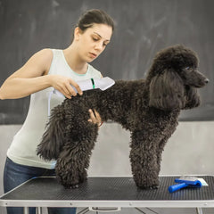 1600W Pet Hair Smart Hair Dryer with 4 Different Nozzles and 1 Hose, 4-in-1 Pet Suitable for Dogs and Cats, White