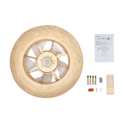 Caged Invisible Ceiling Fan with Light 3 Speeds Adjustable Enclosed Ceiling Fan Lights with Remote Industrial Low Profile Fans