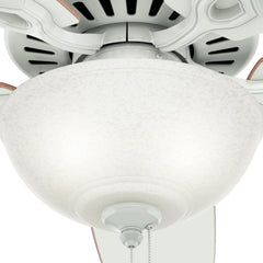 Fan Company 53089 Builder Deluxe Indoor Ceiling Fan with LED Light and