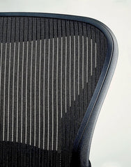 Embody Ergonomic Office Chair | Fully Adjustable Arms and Carpet
