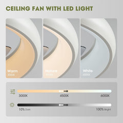 Ceiling Fans with Lights and Remote, 20'' Low Profile Flush Mount