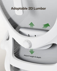 Ergonomic Office Chair: Office Computer Desk Chair with High Back Mesh
