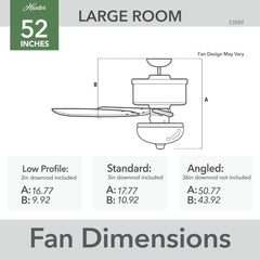 Fan Company 53089 Builder Deluxe Indoor Ceiling Fan with LED Light and