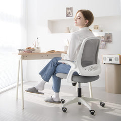 Office Desk Computer Gaming Chair with Ergonomic Lumbar Back Support