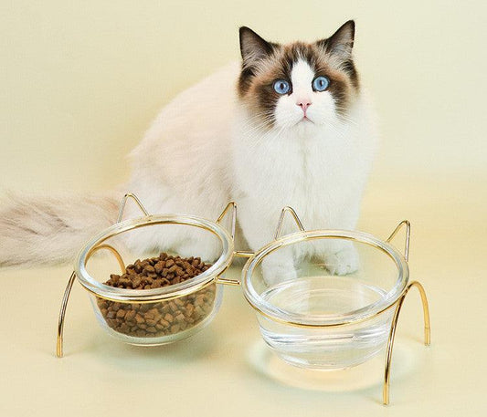 Sparkling Glass Cat Bowl With Elevated Metal Rack - Stylish And