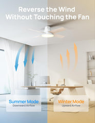 Ceiling Fans with Lights, 12 Speeds & 3 Fan Modes, Quiet DC Motor, Low