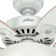 Fan Company 53089 Builder Deluxe Indoor Ceiling Fan with LED Light and