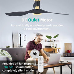 Large Airflow Indoor Ceiling Fan with Light