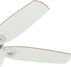 Fan Company 53089 Builder Deluxe Indoor Ceiling Fan with LED Light and