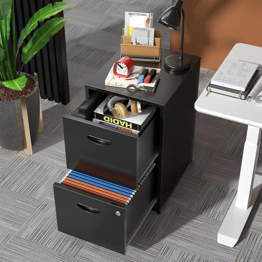 2 Drawer File Cabinet, Metal File Cabinets with Lock, 18"D Black