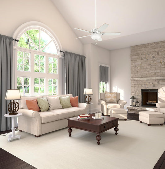 Fan Company 53089 Builder Deluxe Indoor Ceiling Fan with LED Light and