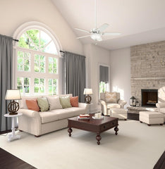 Fan Company 53089 Builder Deluxe Indoor Ceiling Fan with LED Light and